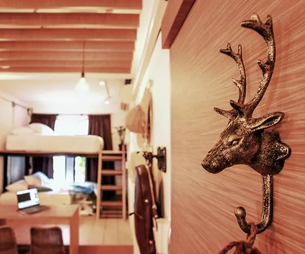Maison d'hôtes Hidden Habitat - Design